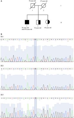 A Novel Homozygous Variant in the Fork-Head-Associated Domain of Polynucleotide Kinase Phosphatase in a Patient Affected by Late-Onset Ataxia With Oculomotor Apraxia Type 4